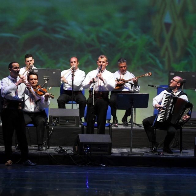 Инструментални изведби